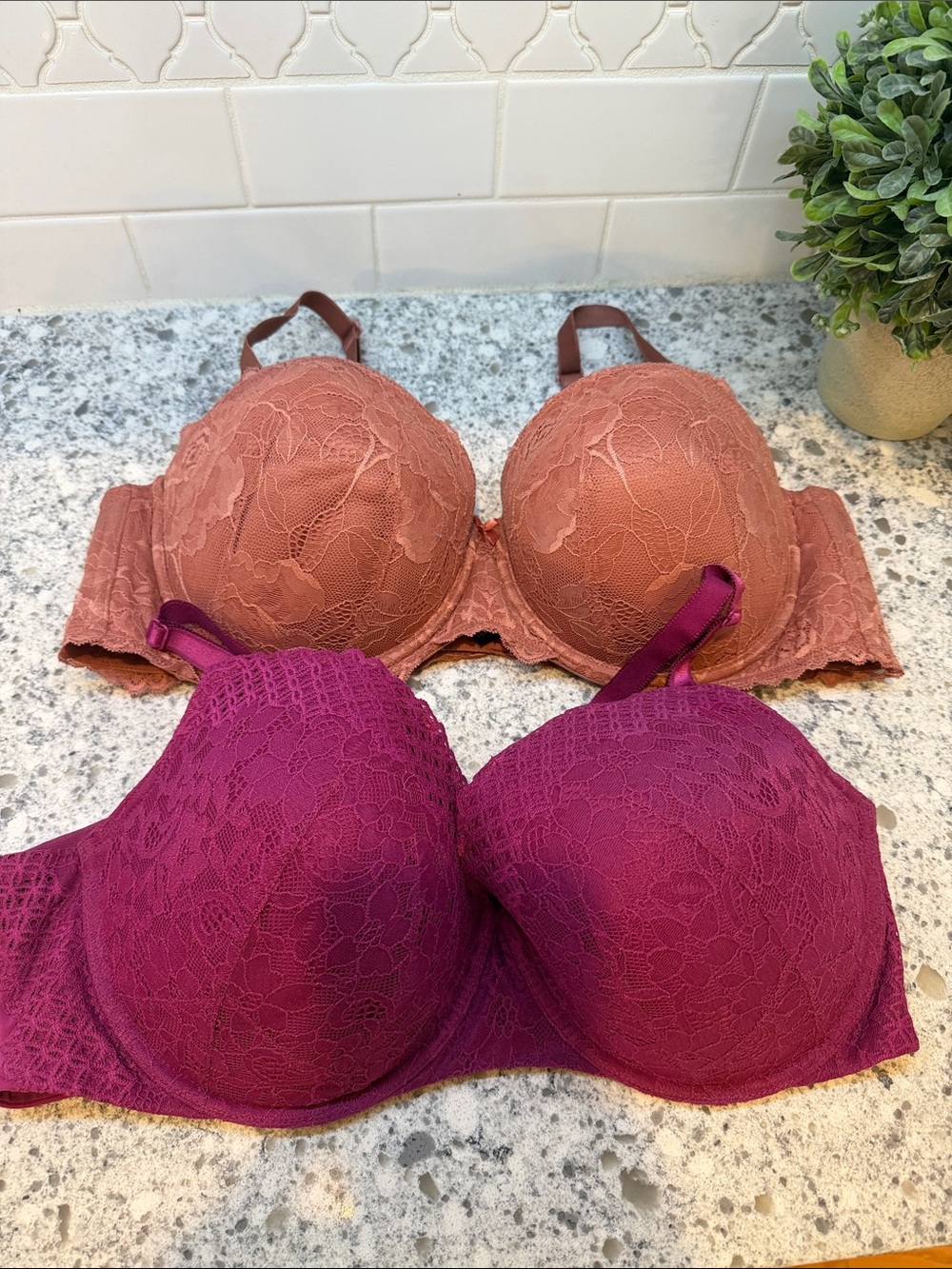 Torrid Curve bundle of 2 Lace Underwire Bra - Plum and Rust size 42D